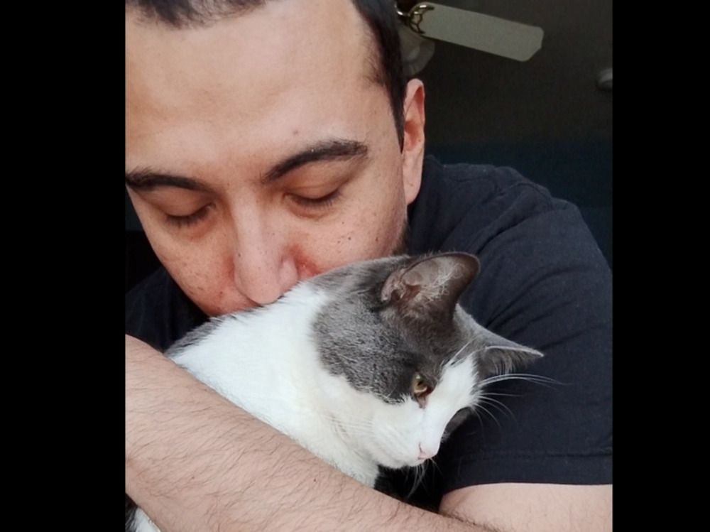 NextImg:'You're from Canada, eh?': Meeting with 'off-duty ICE officer' at a pet store leads to Toronto man's self-deportation